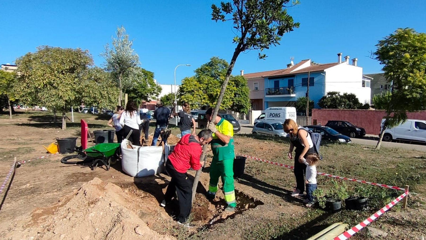 Tercera siembra popular en Palma.