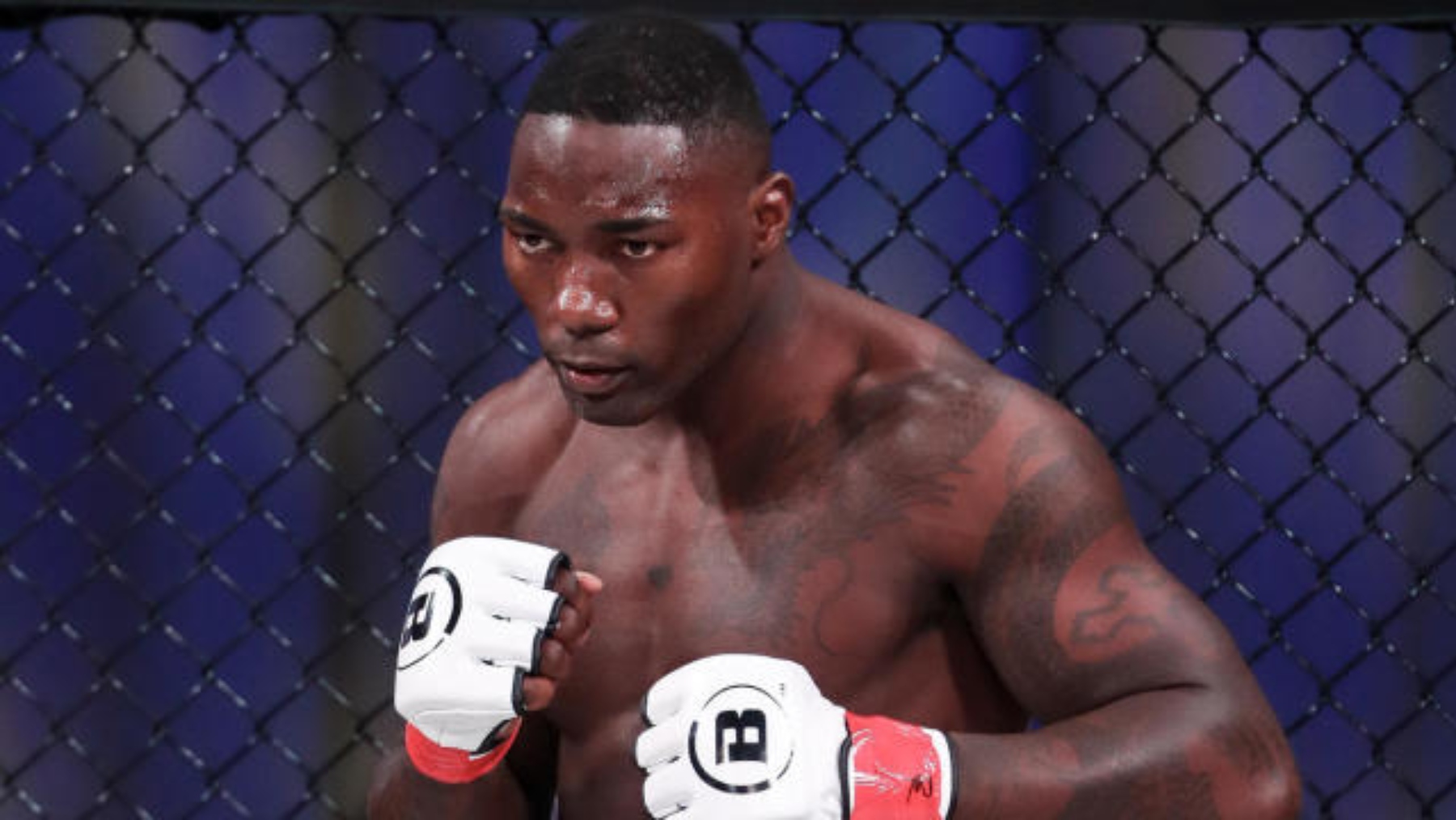 Лучшие бои джонсона. Энтони Рамбл Джонсон 2009. Anthony Rumble Johnson бой. Энтони Рамбл Бейдер. Энтони Джонсон Вадим Немков.