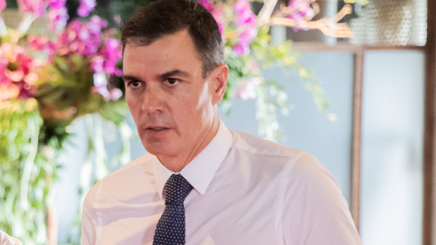 Pedro Sánchez 4