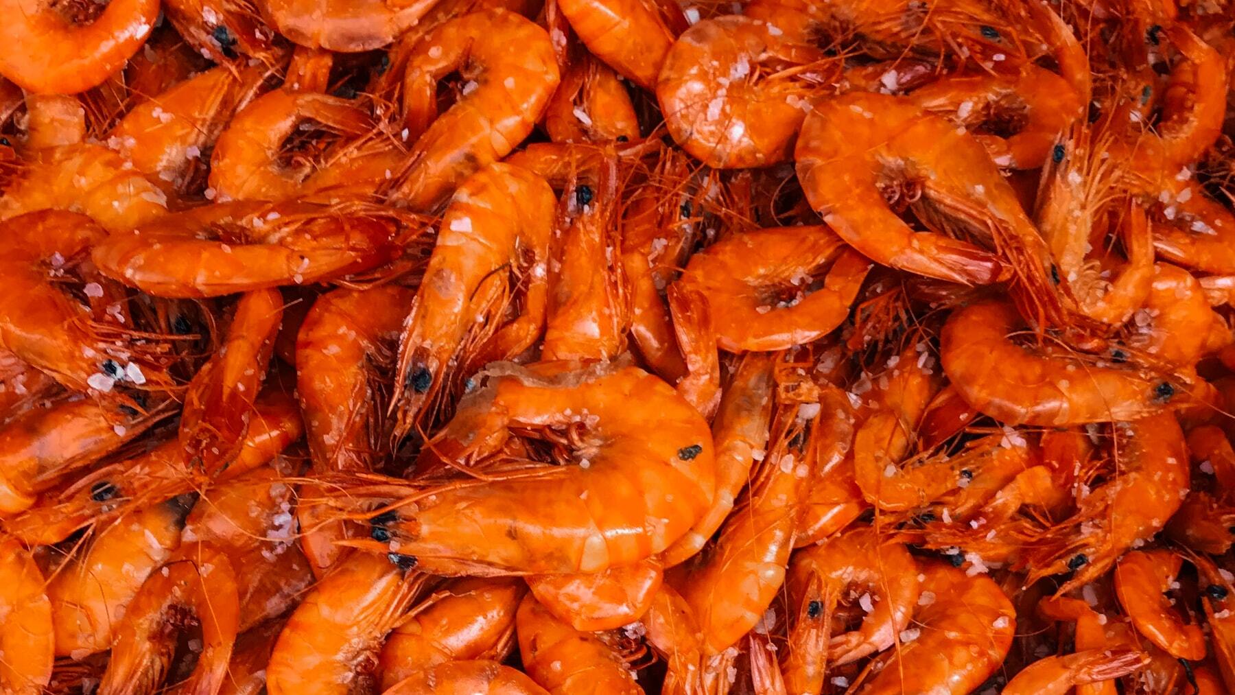 Marisco