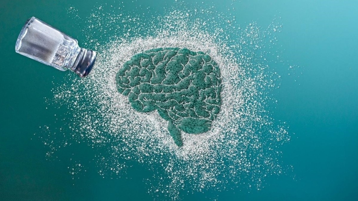 Antojos de sal (sodio) en el cerebro.