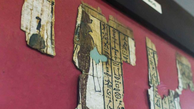 Fragmentos de papiro escritos hace 4.000 años que se encuentran en el Museo Bíblico de Mallorca.