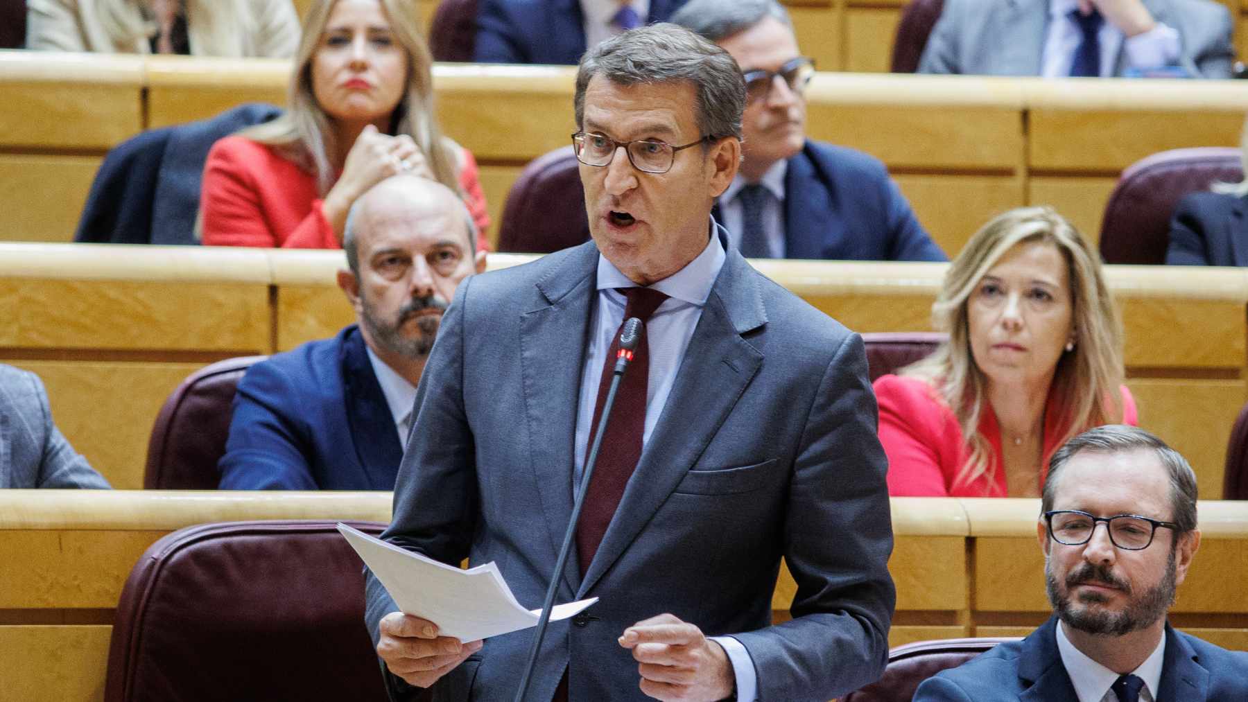 Alberto Núñez Feijóo (Foto: EP)