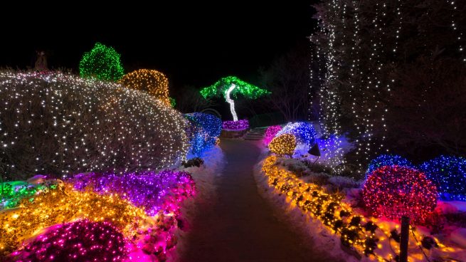 Almacén azúcar Polar Luces de Navidad en el Jardín Botánico de Madrid: entradas, precios y cómo  ir