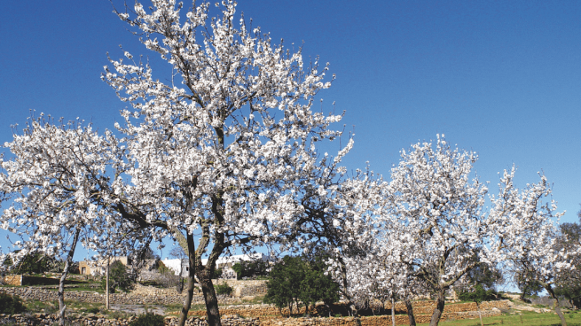 ibiza invierno