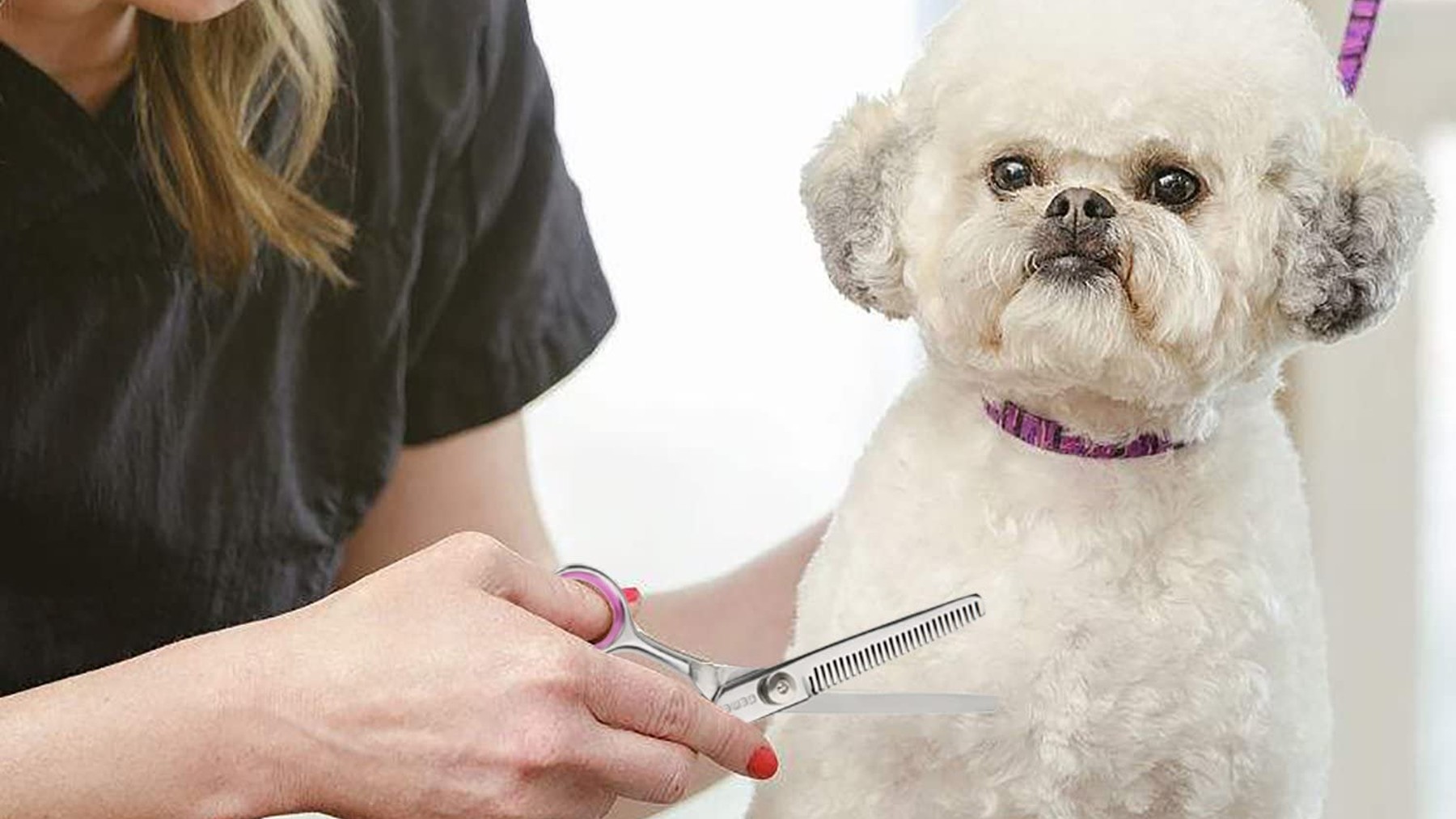 Dale un corte de pelo a tu perro en casa con las mejores tijeras para perros