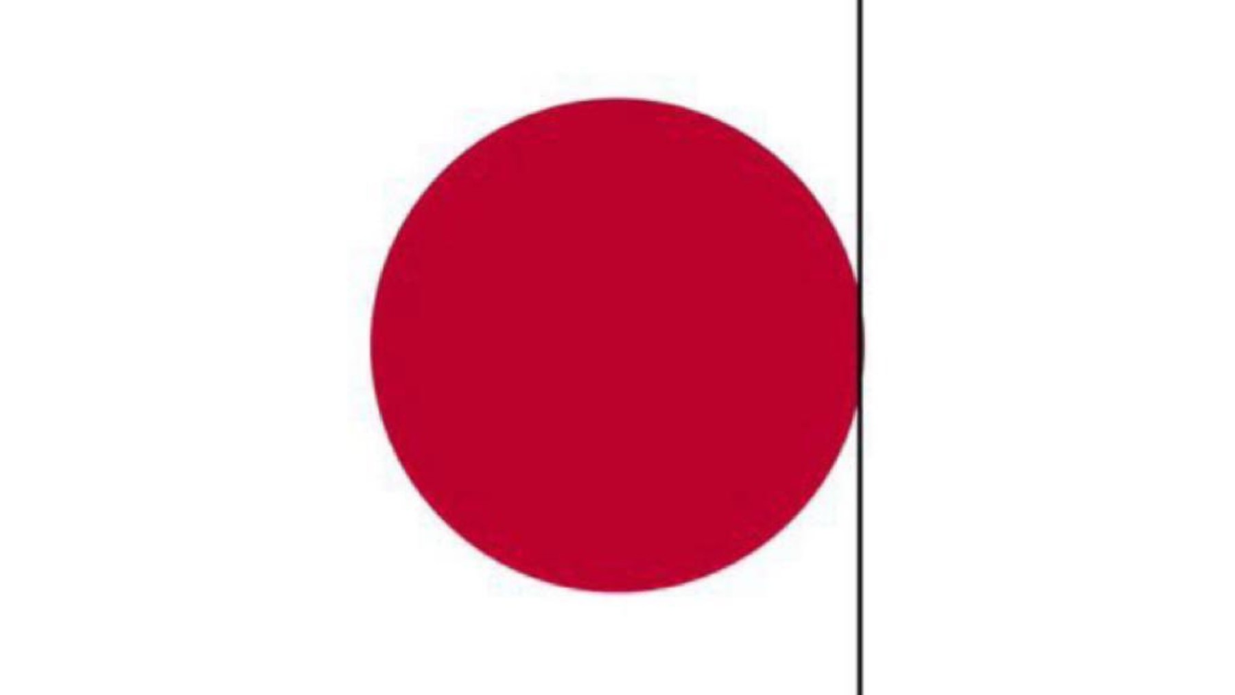 La bandera de Japón tras el gol concedido en el Mundial.