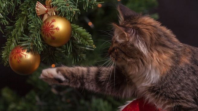 Mantener al gato alejado del árbol de Navidad