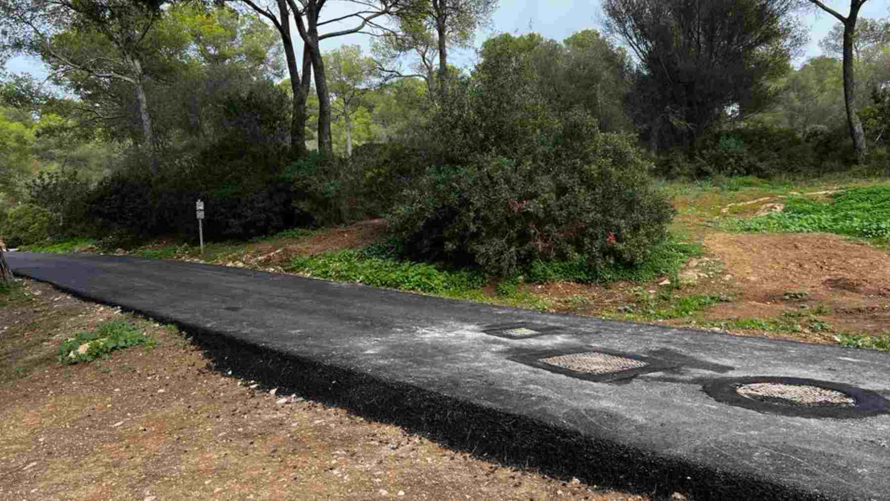 Imagen del asfaltado camino del protegido Bosque de Bellver de Palma.