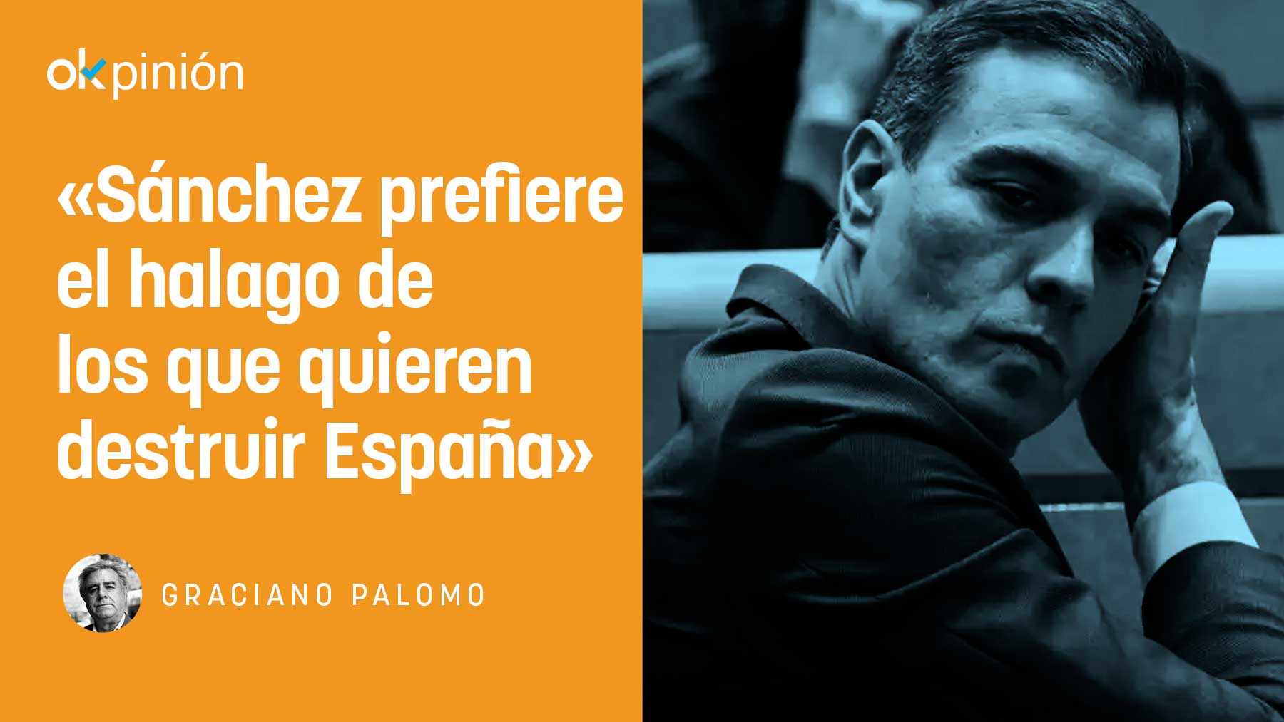 Elecciones Sánchez