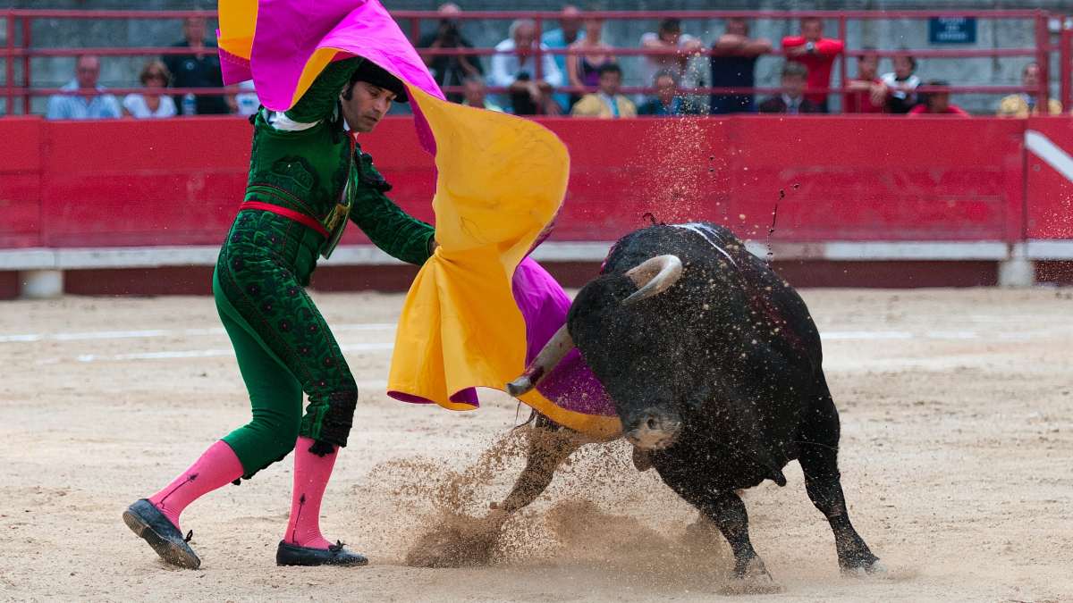 Imagen de una corrida de toros