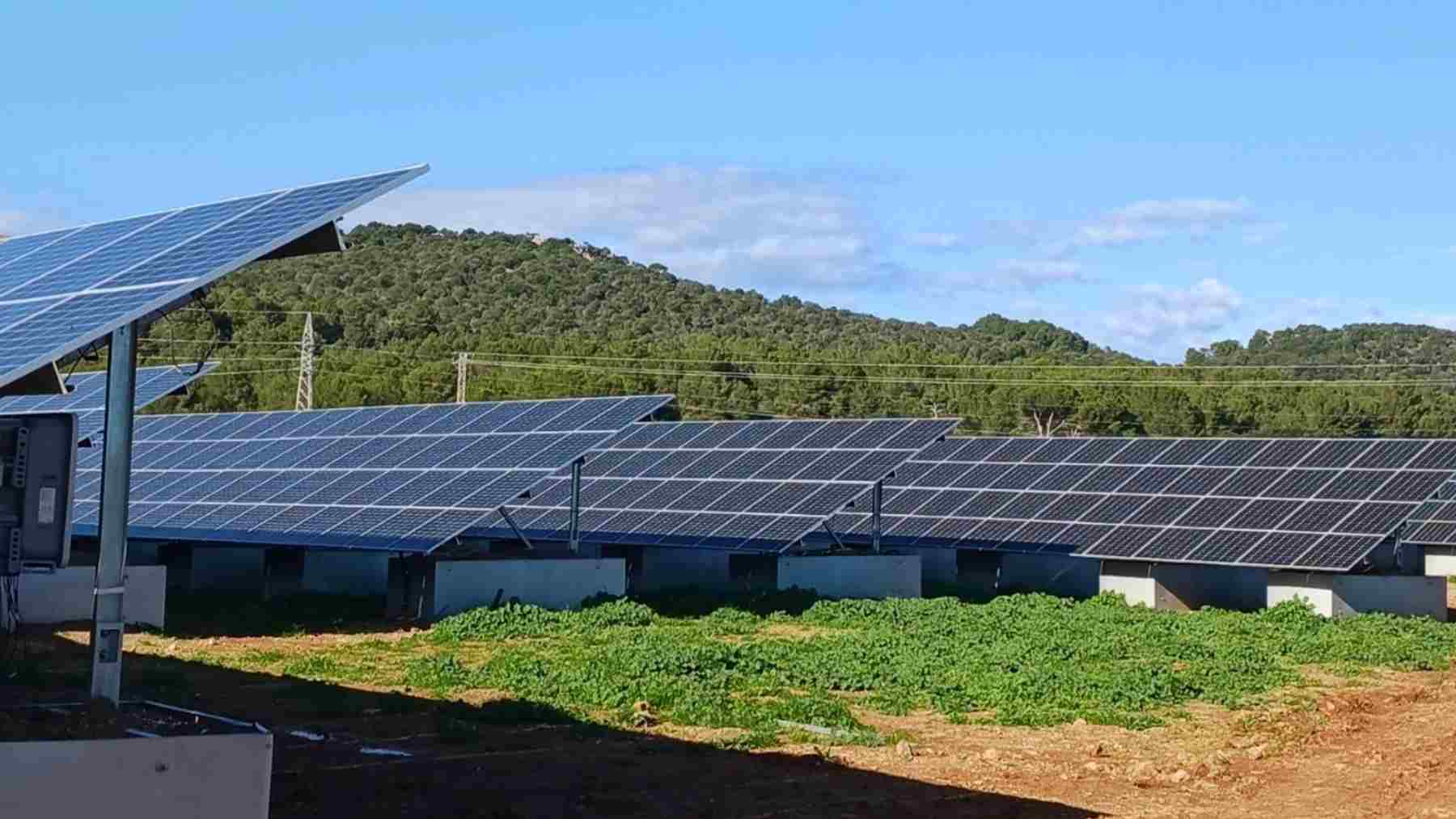 Planta solar de Endesa en Ca Na Lloreta (Alcúdia). – ENDESA