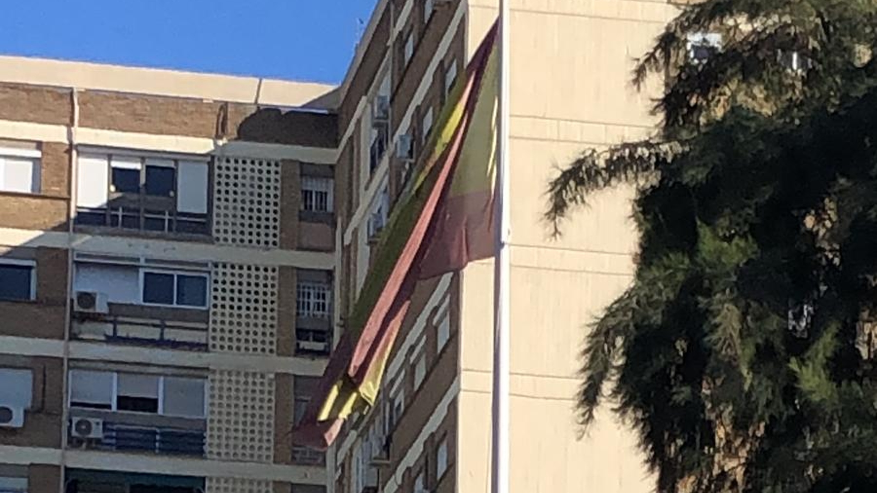 Vox denuncia banderas de España «destrozadas» ondeando en la Sevilla del socialista Antonio Muñoz.