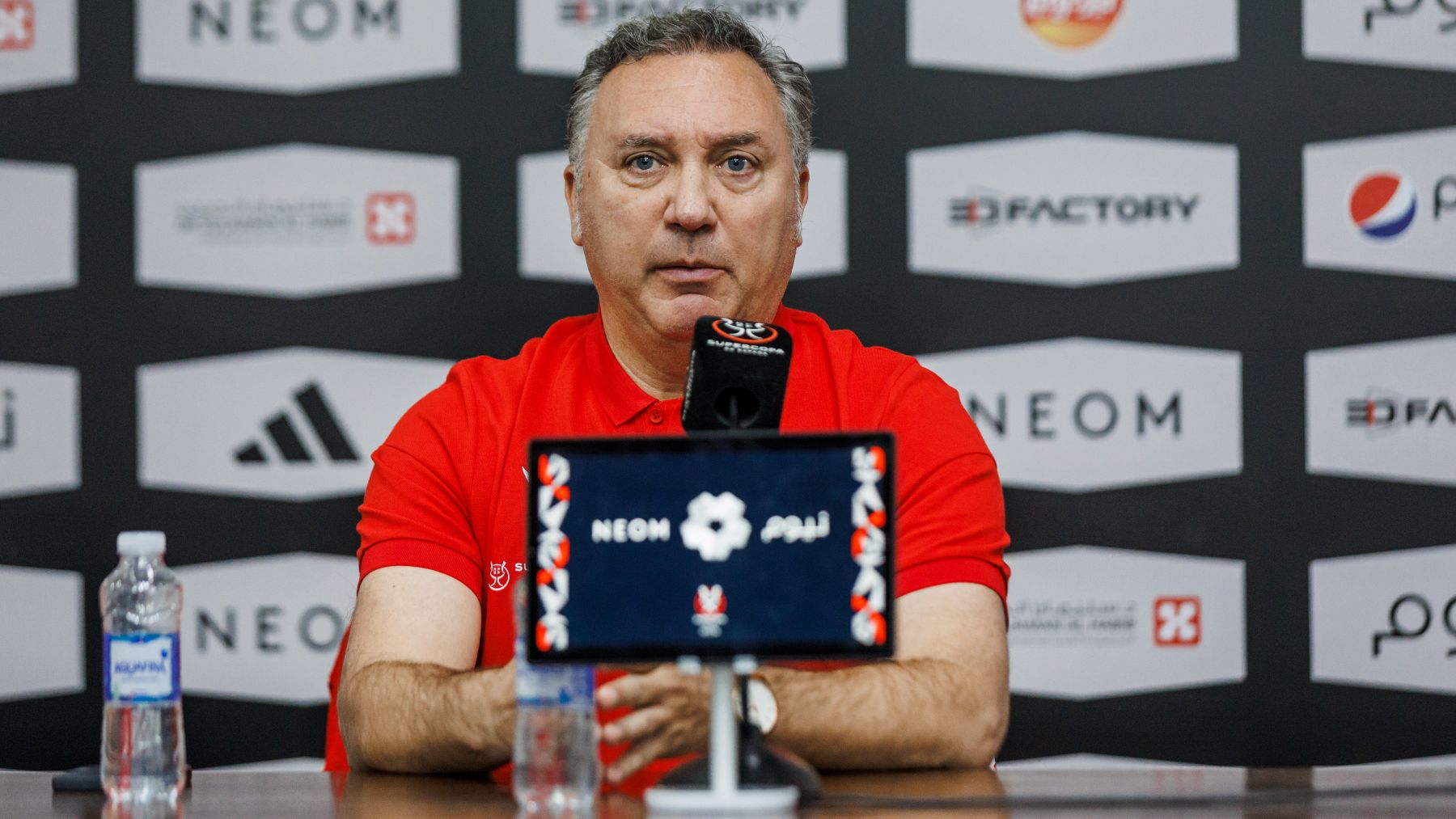 Medina Cantalejo, durante una rueda de prensa. (RFEF)