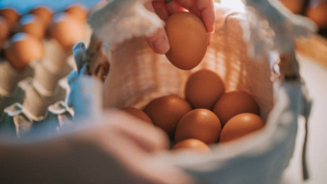truco conservar huevos