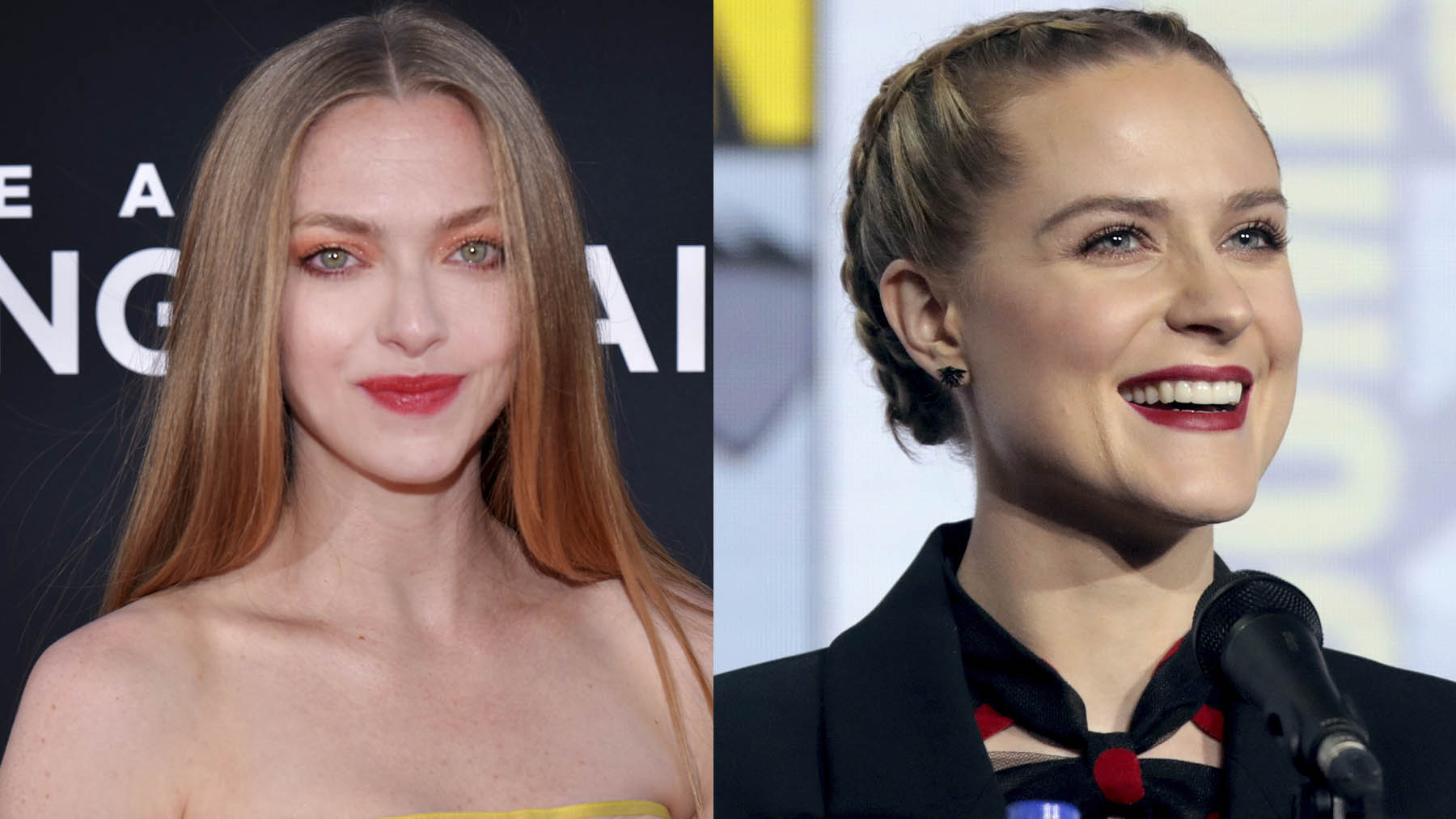 Amanda Seyfried y Evan Rachel Wood