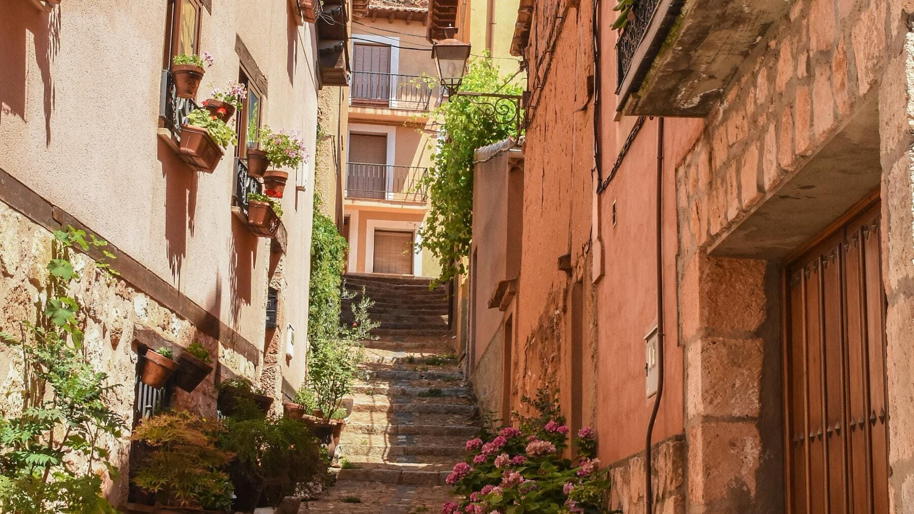 Ayllón