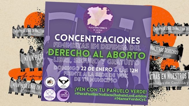 Vox aborto