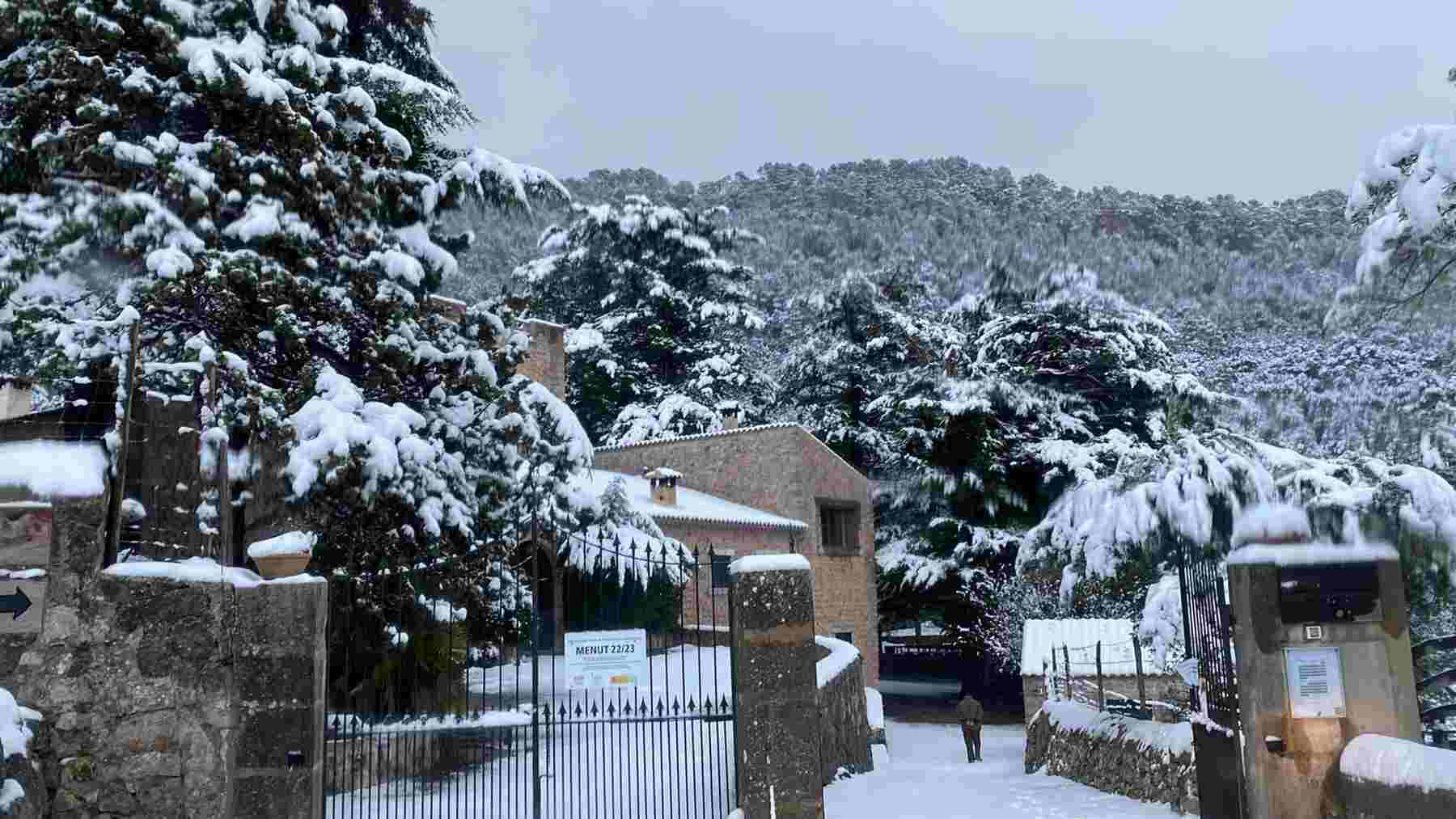 Nieve en el Centre Forestal (CEFOR) en Menut. Escorca, en una imagen de Xarxa Forestal. – XARXA FORESTAL