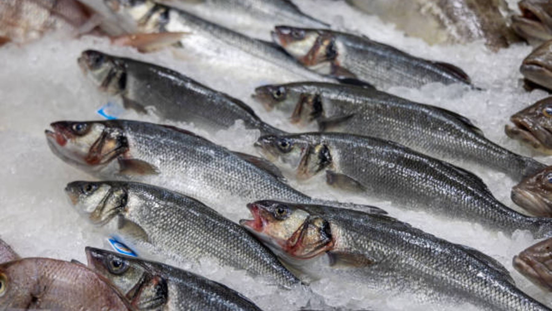 El pescado que más se vende en el supermercado pero que podría ser un peligro