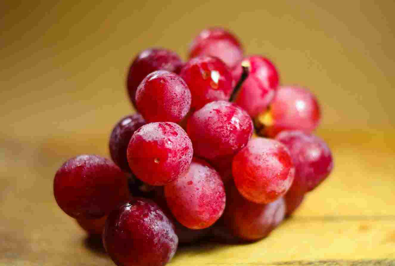 Los trucos para conservar las uvas para que te duren más tiempo en casa