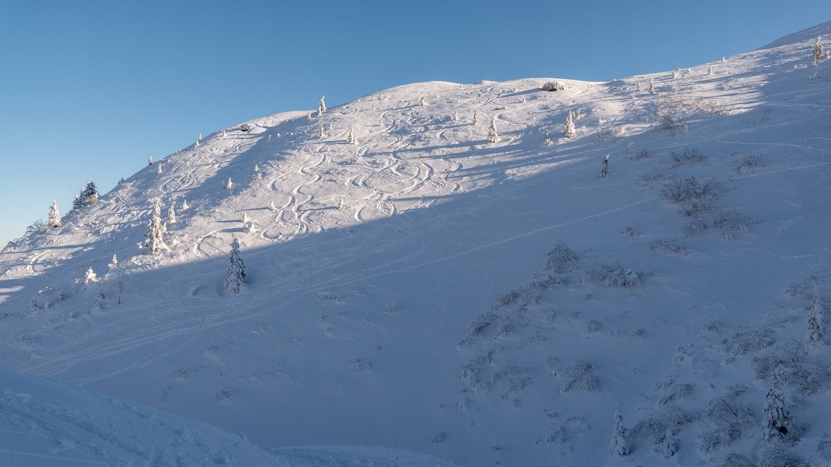 fotos en la nieve cómo