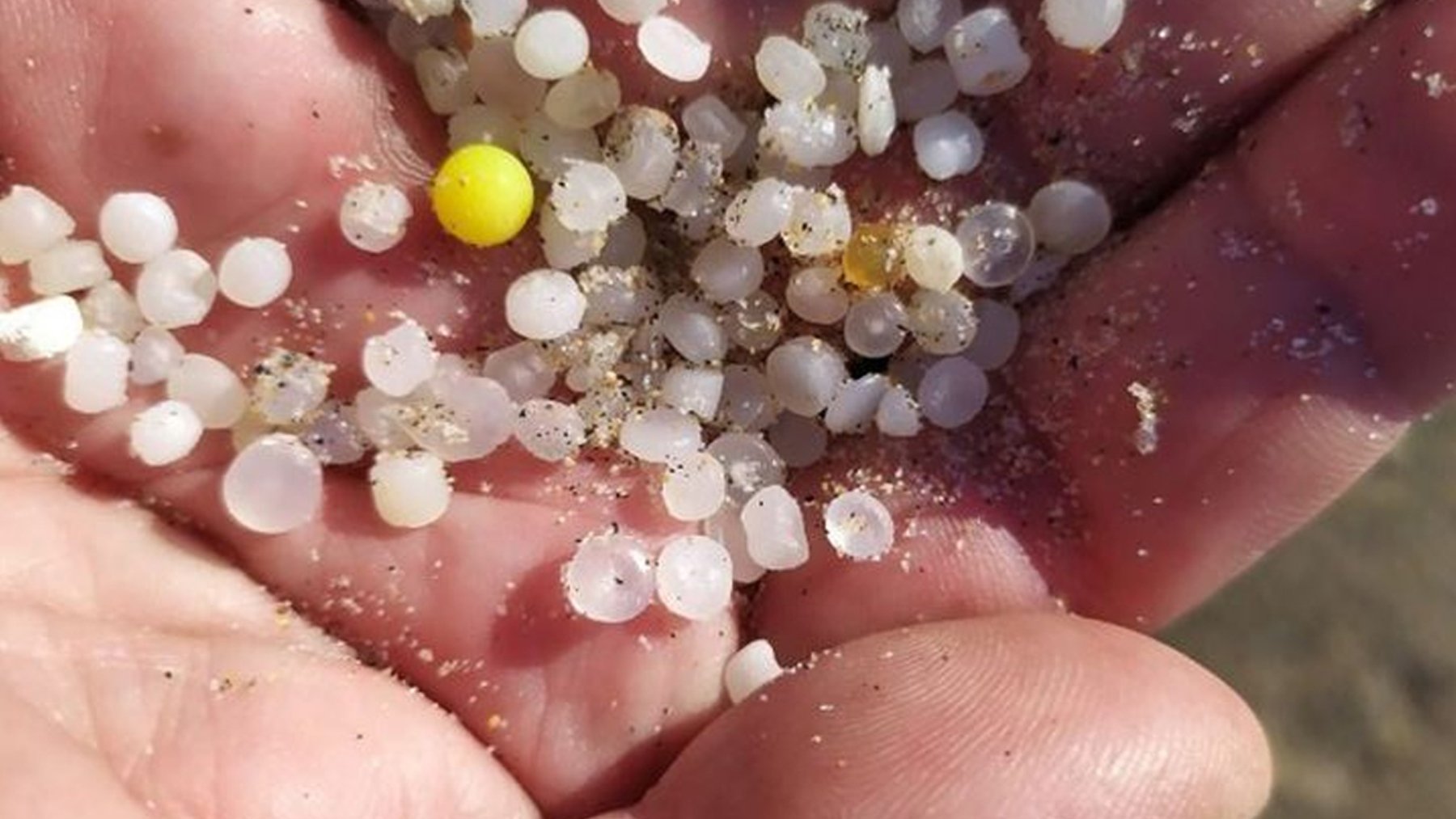 Alerta medioambiental en las playas de España: una invasión de bolitas de plástico que afecta a varias comunidades