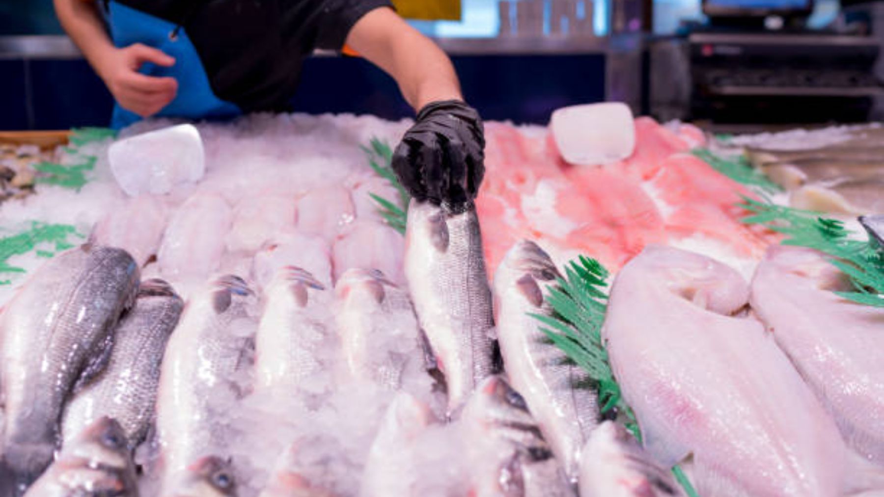 En qué supermercado se vende el mejor pescado según la OCU
