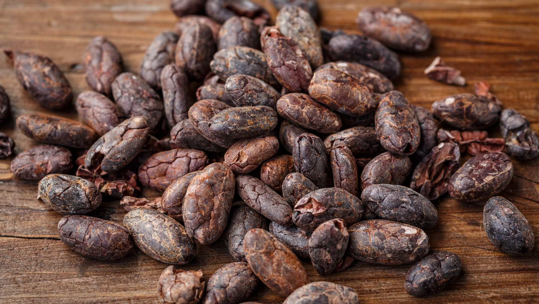 Si se terminara el cultivo del cacao