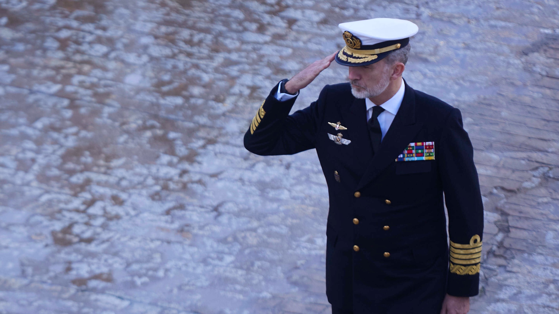 El Rey Felipe VI pasa revista en San Fernando (Foto: Europa Press).