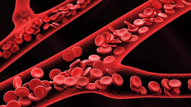 Sabes si puedes padecer hemofilia?: el 33% de los españoles no conoce este  trastorno hemorrágico
