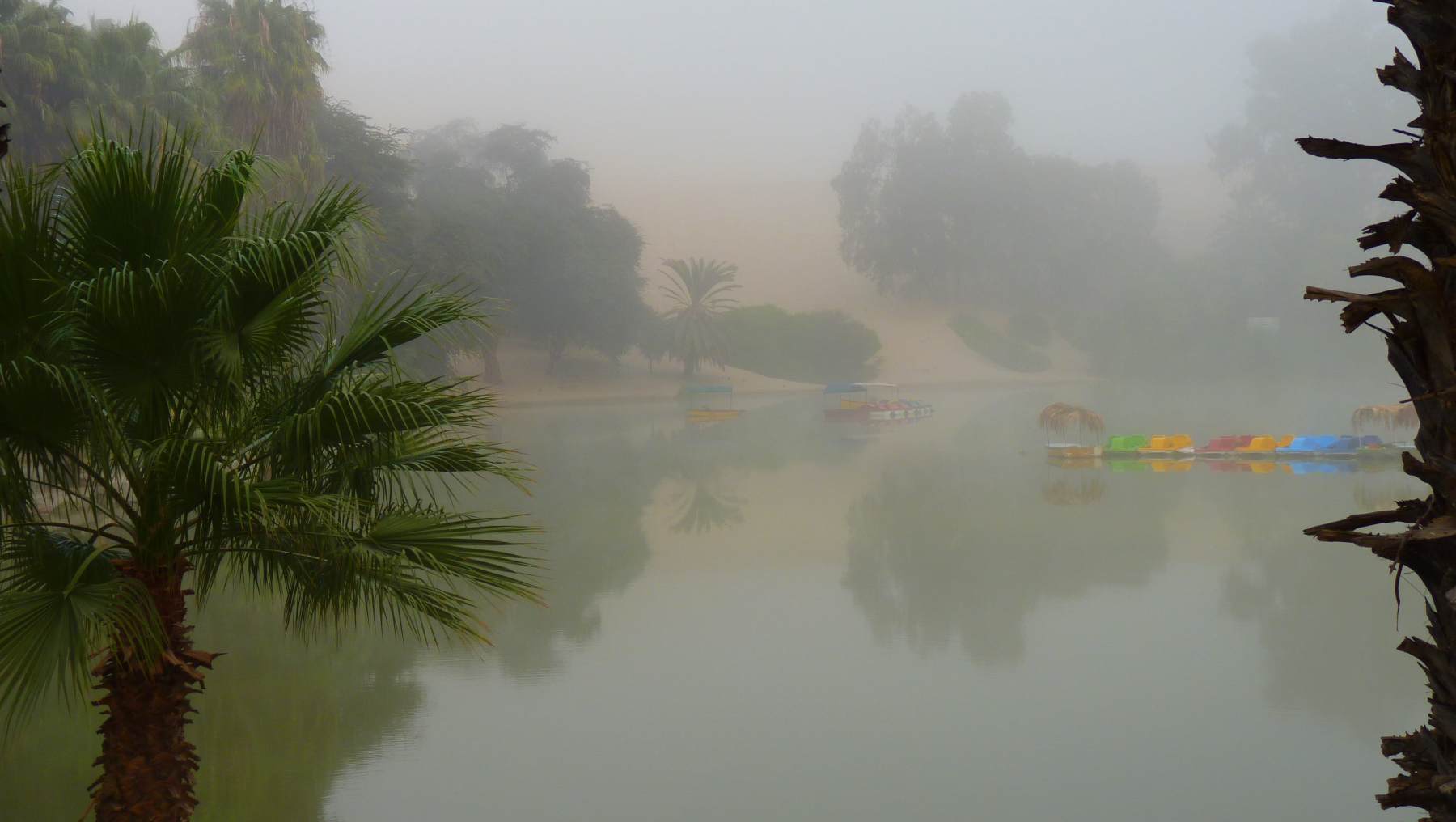 En qué consisten los oasis de niebla