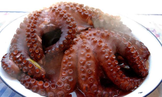 Pulpo cocido