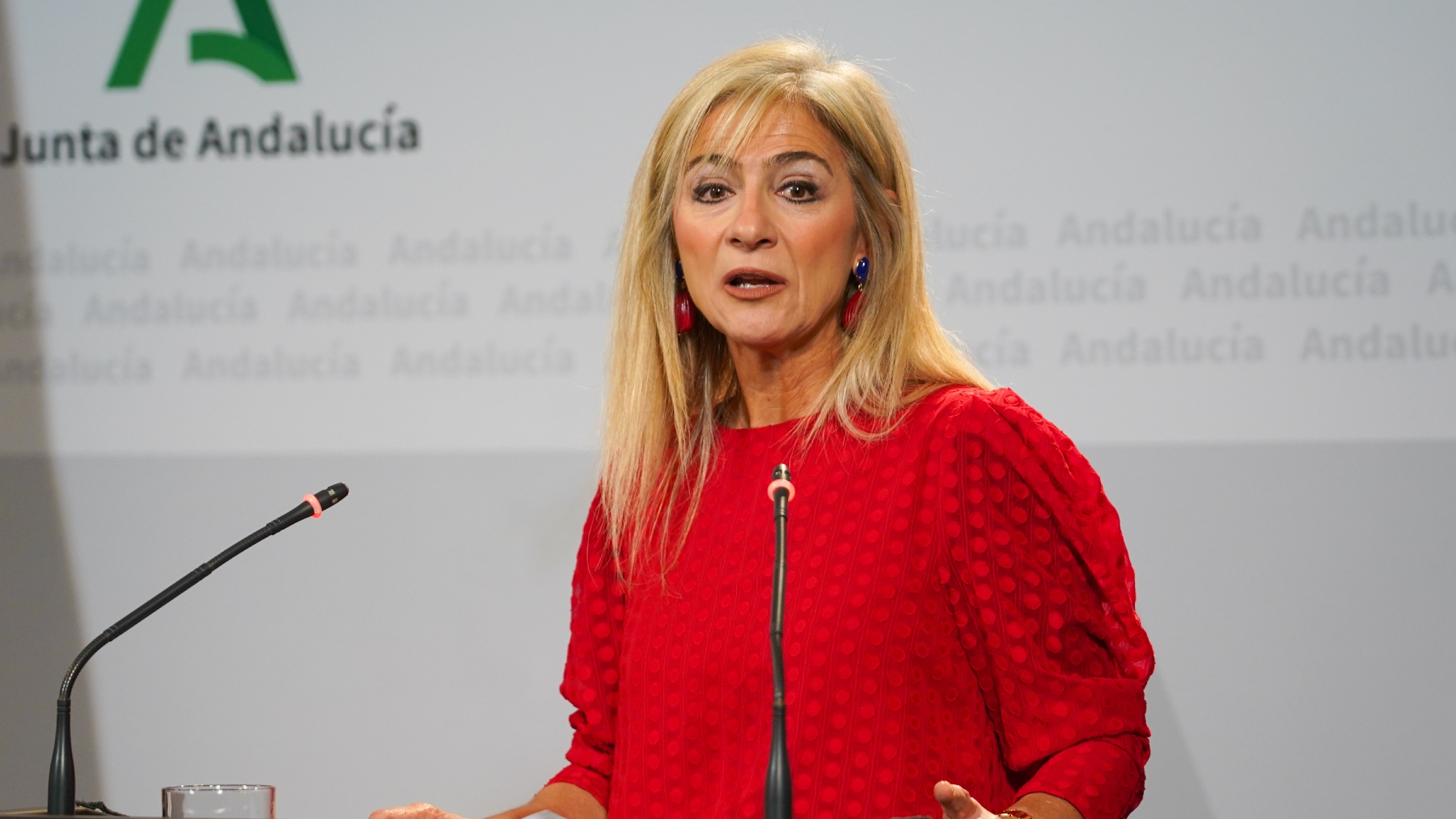 La consejera de Desarrollo Educativo y Formación Profesional de la Junta de Andalucía, Patricia del Pozo (EUROPA PRESS).