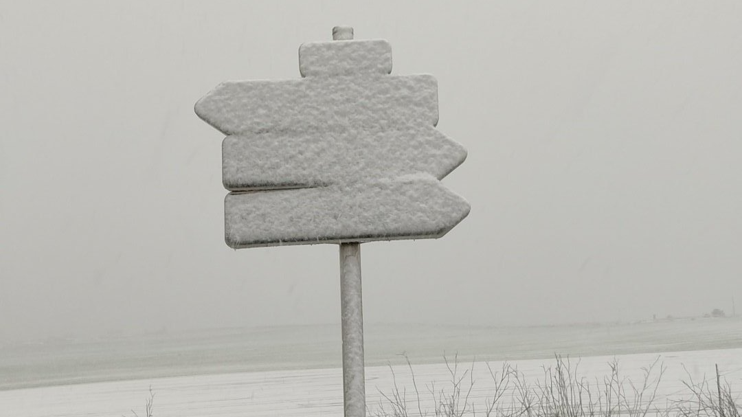 Imagen de la copiosa nevada en Mallorca.