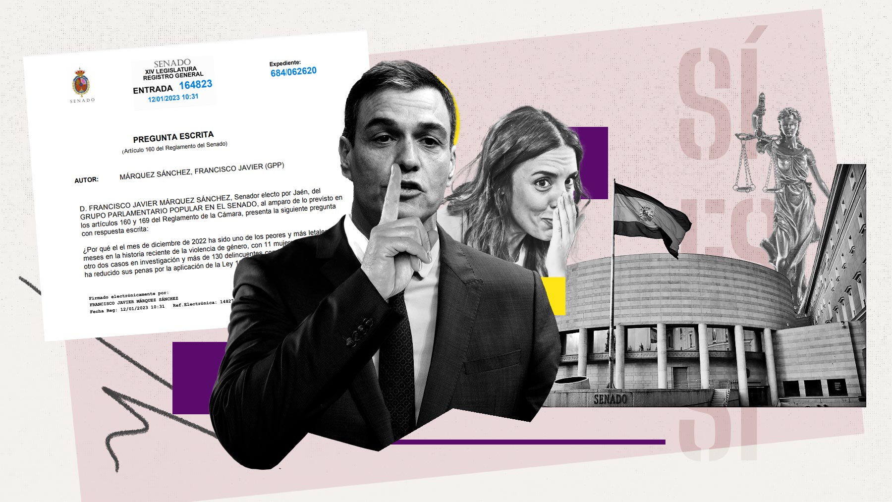 PSOE Senado violencia género