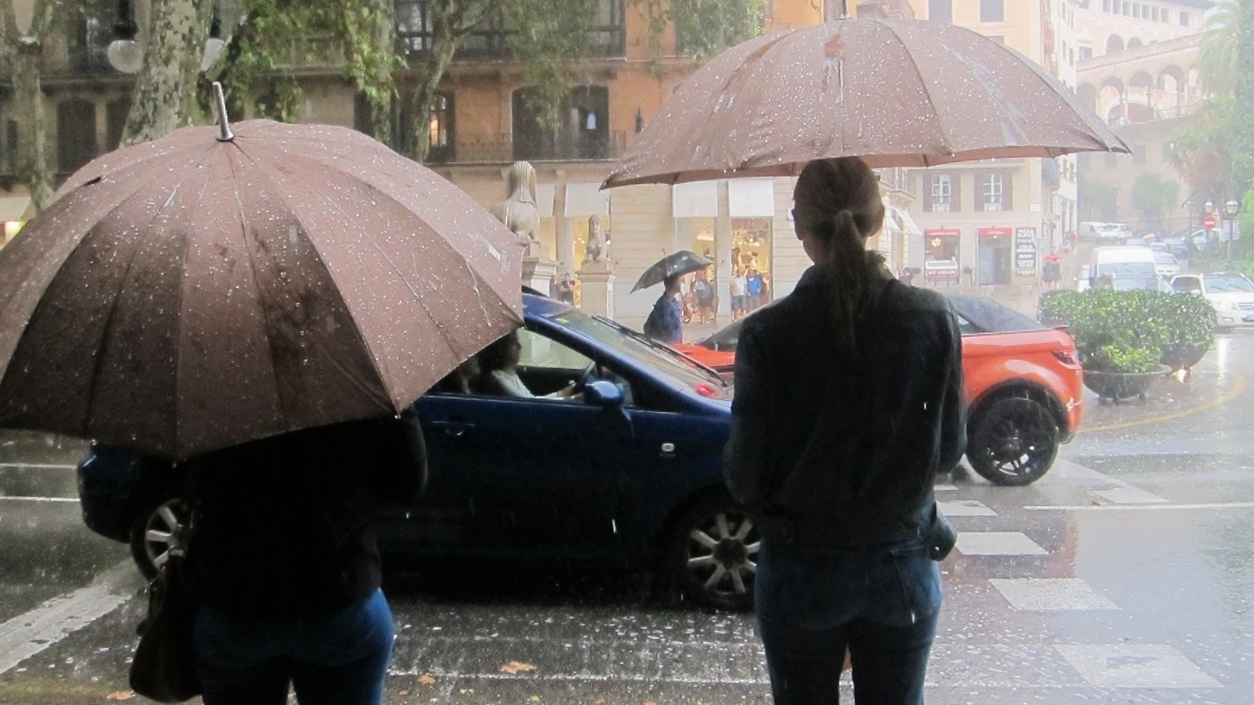 Dos personas con paraguas para cubrirse de la fuerte lluvia en el Paseo del Borne de Palma.