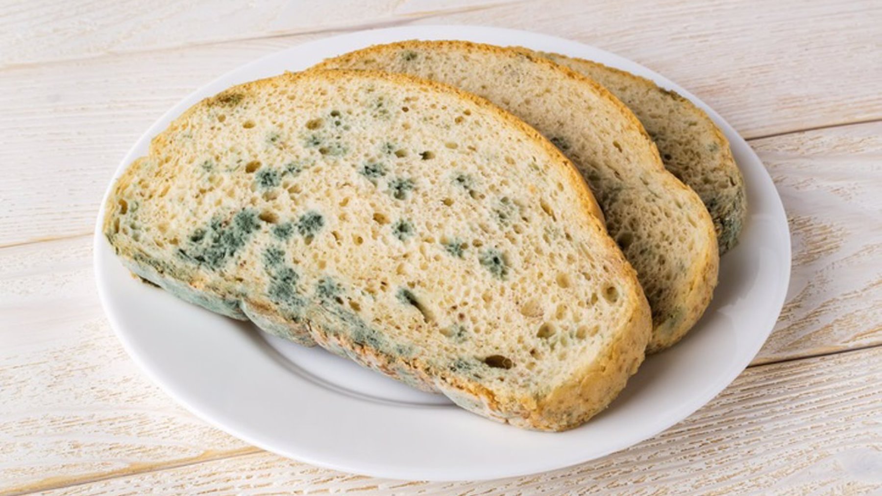 Lo que te podría pasar si quitas el moho de los alimentos y te los comes