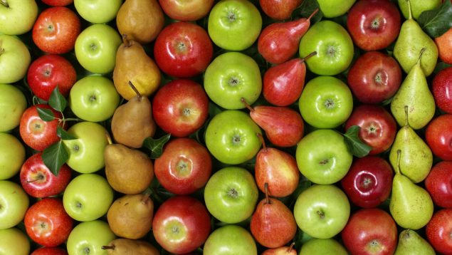 Manzanas y peras