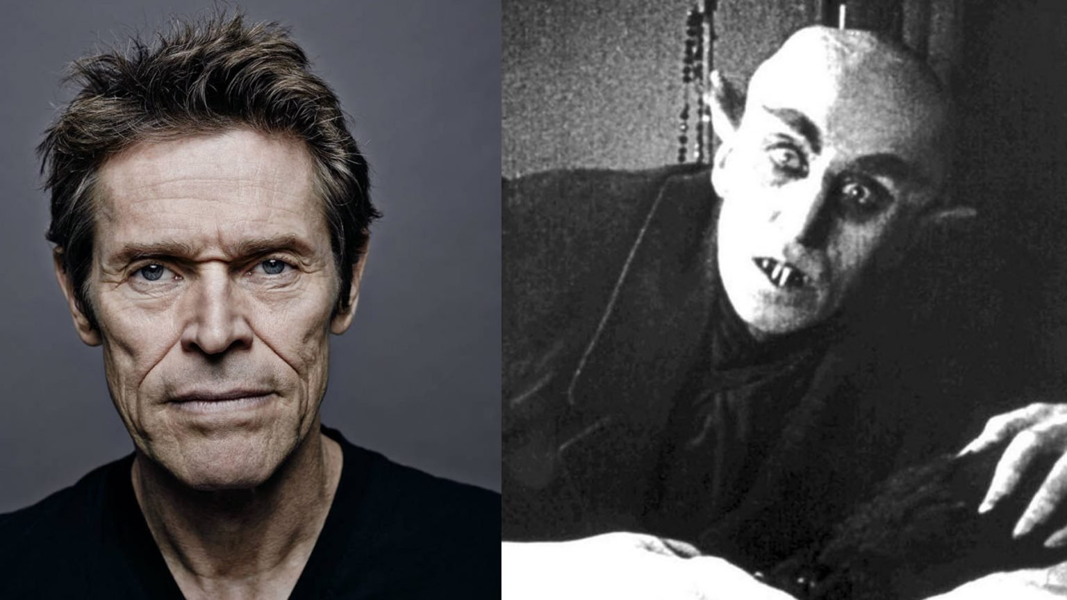 Willem Dafoe Habla Sobre El ‘Nosferatu’ De Robert Eggers – La Neta Neta