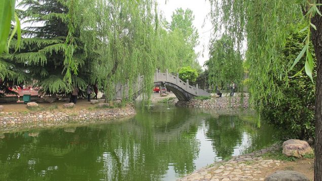 Descubre el lago luyang, el lugar más extraño y bello a la vez de China