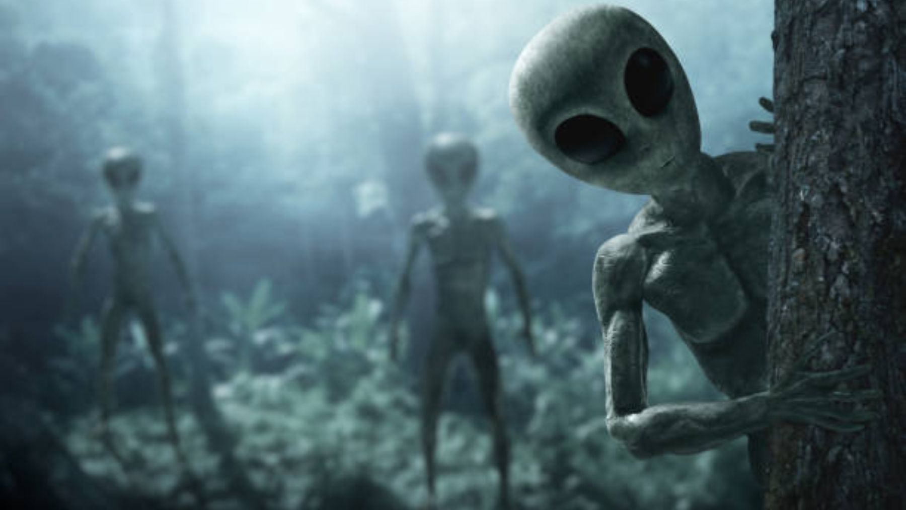 La fecha exacta en la que llegarán los extraterrestres a la Tierra según un  'viajero del tiempo'