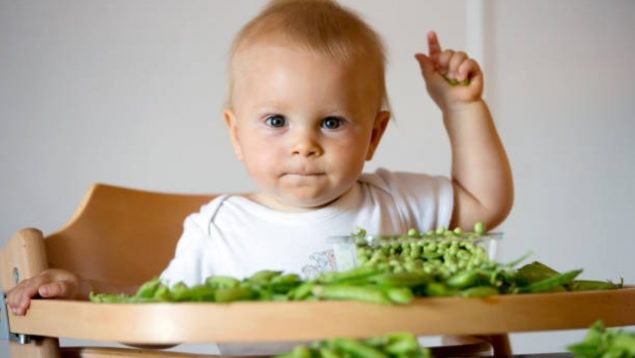 verduras niños