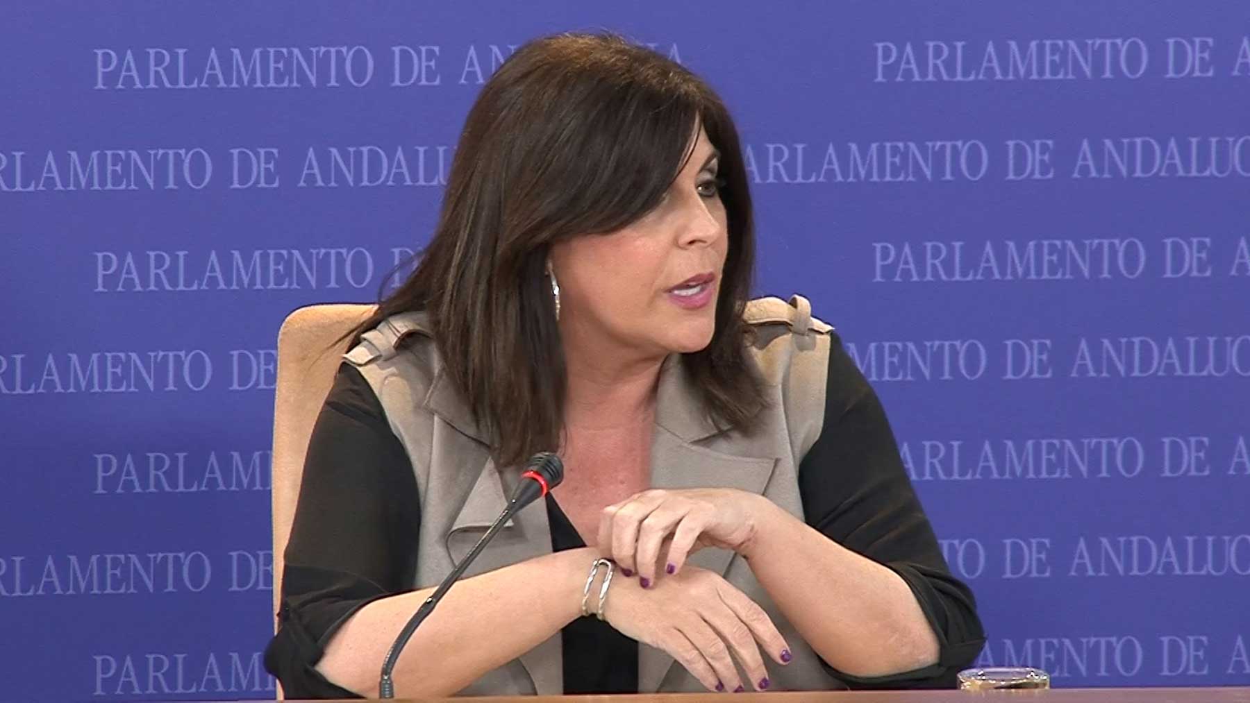 Ángeles Férriz, portavoz del PSOE de Andalucía.