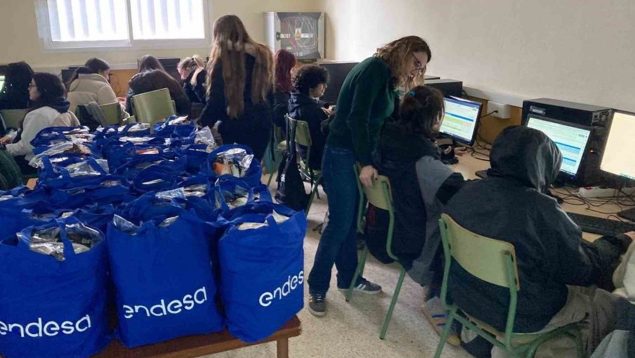 endesa
