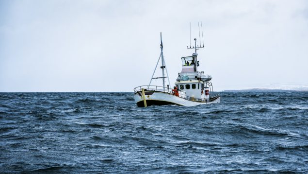 La pesca del bacalao skrei en Noruega
