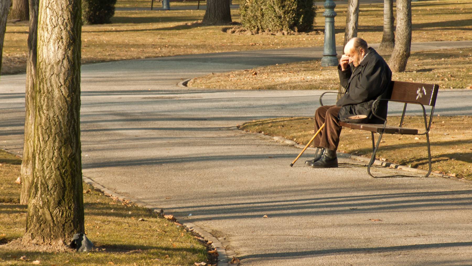 Un jubilado en un banco de un parque.