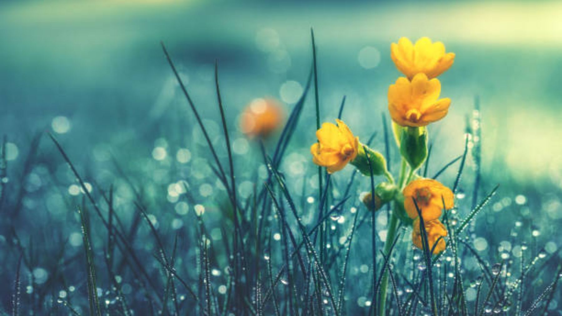 Descenso de temperaturas y lluvia las próximas horas