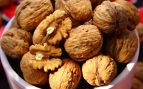 Los perros pueden comer nueces