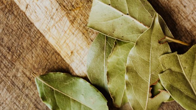 hoja de laurel en este electrodoméstico